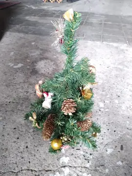 petit sapin de Noël