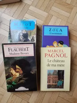 lot 4 livres 'classique'