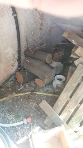 donne bois dalle abimées, bûches, branche de cerisier taillées