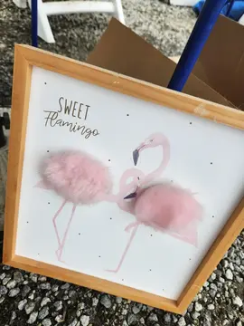 cadre flamand rose