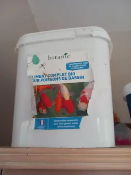 aliment pour poisson bassin