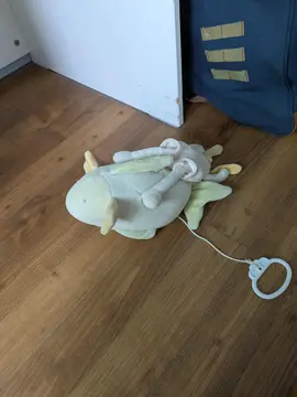 Poisson qui fait de la musique