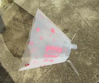Collerette pour chien