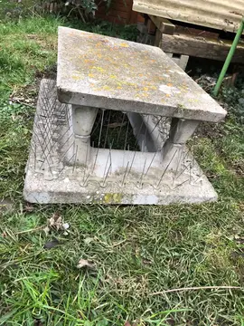 chapeau de cheminée avec picots contre les oiseaux