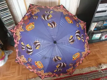 Parapluie