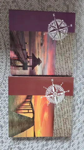 lot de 2 albums photos