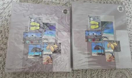 lot de 2 albums photos