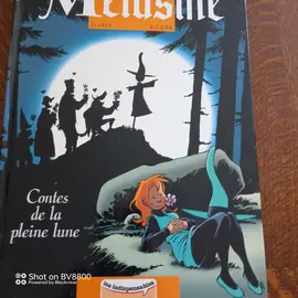 livre bande dessinée