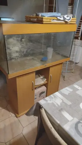 aquarium