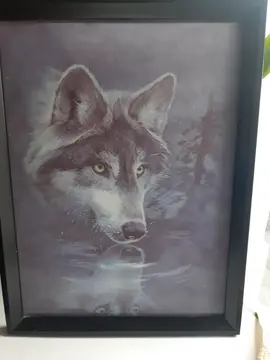 grand cadre loup
