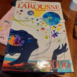 dictionnaire grand format