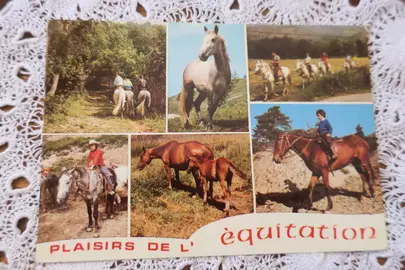 Ancienne carte postale Plaisirs de l’EQUITATION 1979