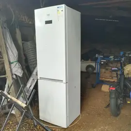 Frigo