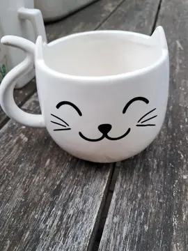 tasse