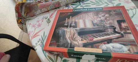 Puzzle 1000 pieces