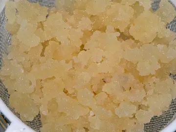 Donne grains de kéfir de fruit