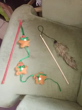 Lot jouets pour chats