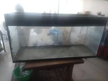 Aquarium
