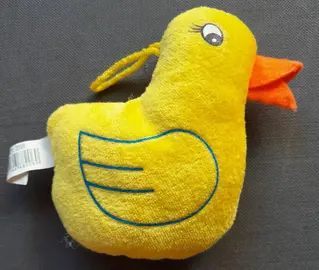 Canard