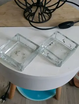 2 cendriers carrés