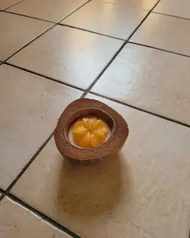 bougie noix de coco
