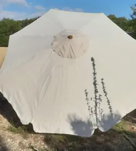 parasol