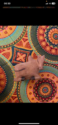 Deco petit zébu en bois