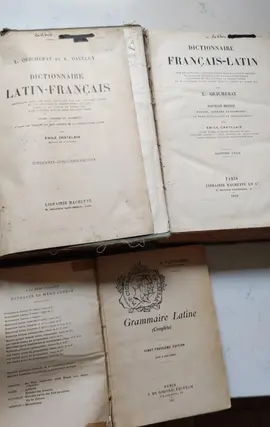 dictionnaire Latin/Français + Français/Latin + grammaire
