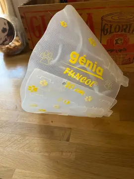 colerette pour chien