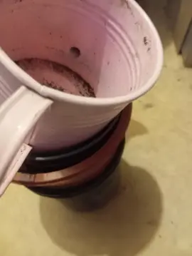 pot en plastique et 1 arrosoir rose