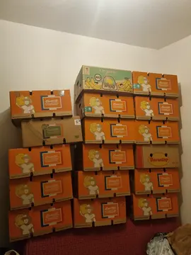 Cartons de déménagement.