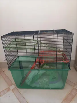 Cage hamster, rat, cochon d'Inde