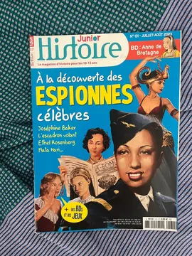 Lot Histoire Junior n°131
