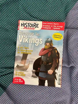 Lot Histoire Junior n°141