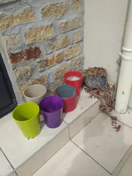 lot de pots