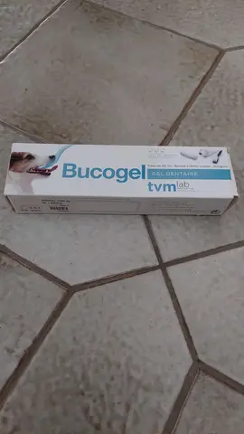 dentifrice pour chien