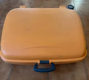 valise Delsey
