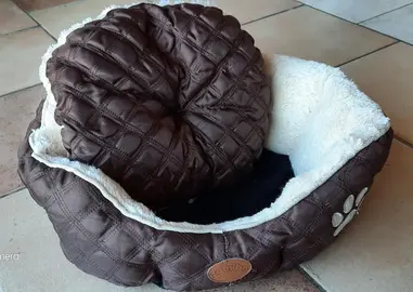 panier petit chien ex. york