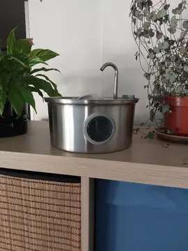 fontaine à eau pour chat
