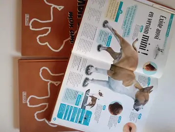 3 livré +photos