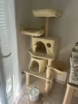 arbre à chat 65x159