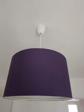 lustre violet