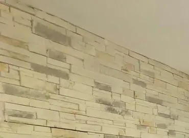 Parement mural beige