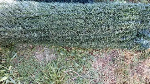 haie artidicielle verte