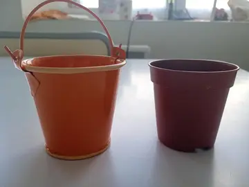 Petits cache pot et pot plastique