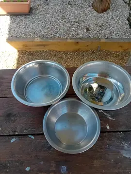 gamelles pour animaux