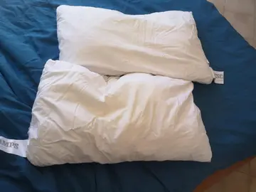2 coussins 40cm x 70cm