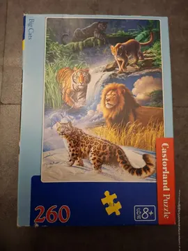 puzzle de 260 pièces complet