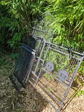 Cage à oiseaux