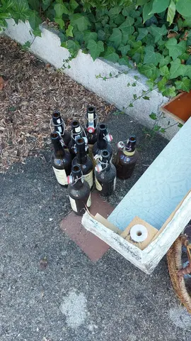 bouteilles vides de bière